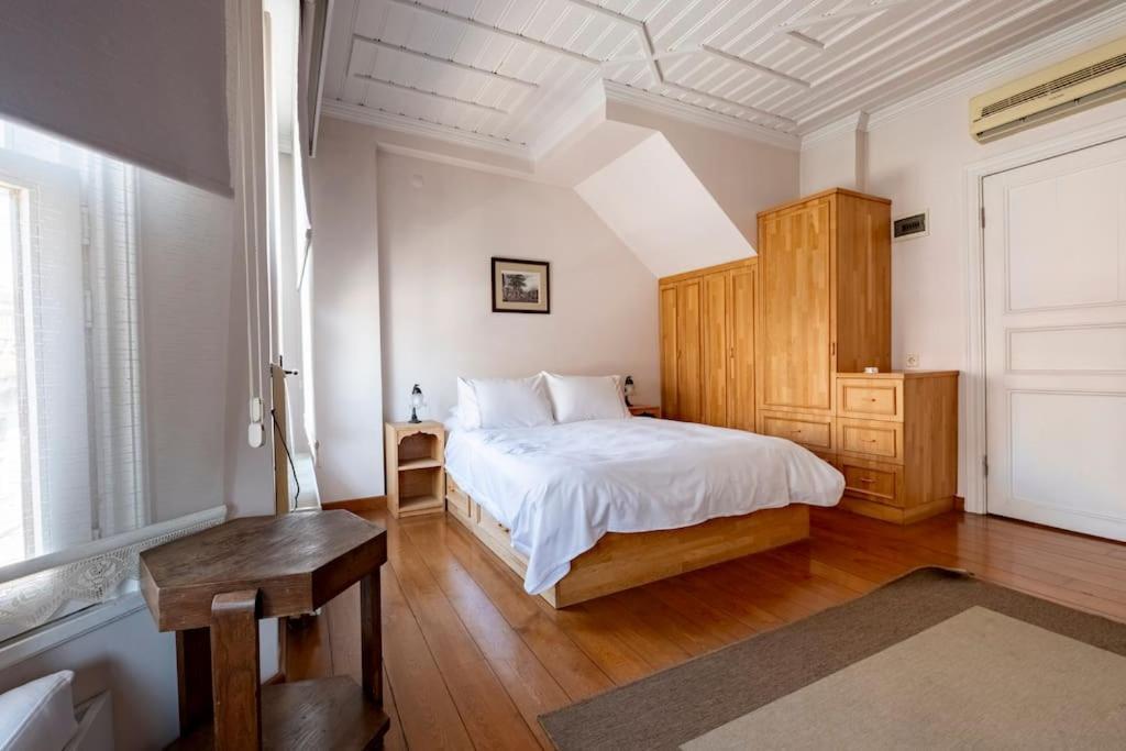 Wonder Triplex Terrace In Peninsula Istambul
